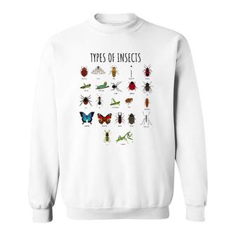 Kids Types Of Insects Bug Identification Science Tee Sweatshirt | Mazezy DE