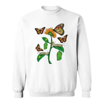Monarch Butterfly Lover Life Cycle Metamorphosis Caterpillar Sweatshirt | Mazezy