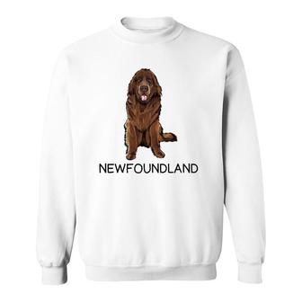 Newfoundland Crazy Dog Lover Gift Sweatshirt | Mazezy