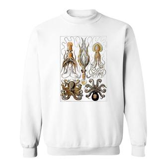 Octopus Ocean Zoology Sweatshirt | Mazezy