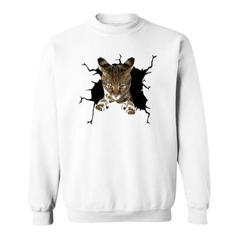 Savannah Cat Torn Cloth Kitten Sweatshirt | Mazezy