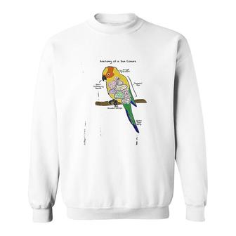 Sun Conure Funny Parrot Anatomy Of A Sun Conure Sweatshirt - Thegiftio UK