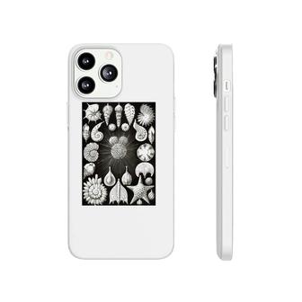 Sea Shells Biology Scientific Drawing Illustration Haeckel Phonecase iPhone | Mazezy