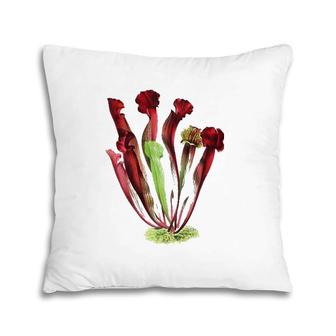 Carnivorous Plants Carnivorous Pitcher Plant Sarracenia Pillow | Mazezy