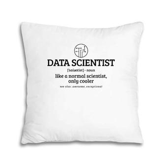 Data Scientist Data Analyst Definition Dictionary Funny Gift Pillow | Mazezy