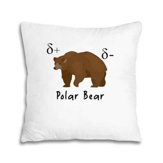 Funny Chemistry Science Teacher Polar Bear Pillow | Mazezy