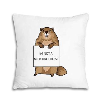 Groundhog Day Funny Quote Not Meteorologist Sign Saying Fun Pillow | Mazezy