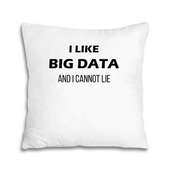 I Like Big Data And I Cannot Lie Data Scientists Pillow | Mazezy