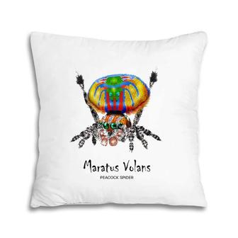Peacock Spider Maratus Volans Lovers Gift Pillow | Mazezy