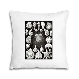 Sea Shells Biology Scientific Drawing Illustration Haeckel Pillow | Mazezy