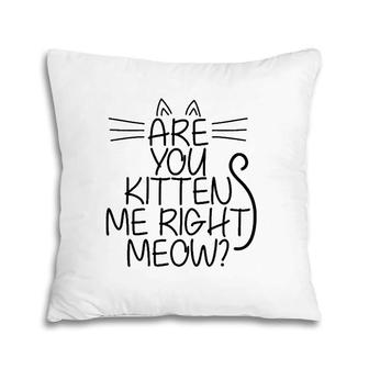 Sweet Cat Are You Kitten Me Right Meow Gift Pillow | Mazezy