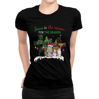 Jesus Is The Reason For Season Christmas Cat Jesus Christmas Gift Sweat Women T-shirt | Mazezy