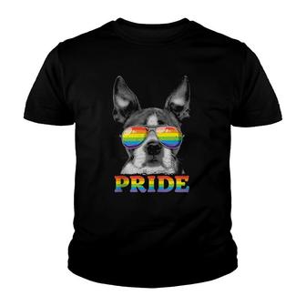 Boston Terrier Gay Pride Lgbt Rainbow Flag Sunglasses Lgbtq Youth T-shirt | Mazezy