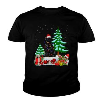 Bouvier Des Flandres Dog Wearing Christmas Hat Tree Lights Youth T-shirt | Mazezy