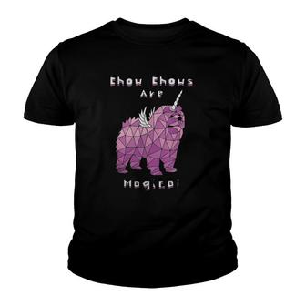 Chow Chows Are Magical Unicorns Youth T-shirt - Thegiftio UK