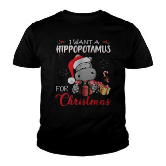 I Want A Hippopotamus For Christmas V7 Youth T-shirt - Thegiftio UK
