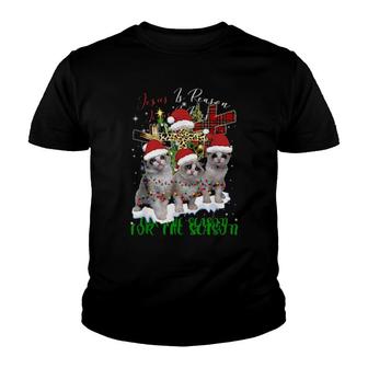 Jesus Is Reason For The Season Cat Christmas Youth T-shirt | Mazezy