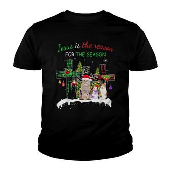 Jesus Is The Reason For Season Christmas Cat Jesus Christmas Gift Sweat Youth T-shirt | Mazezy