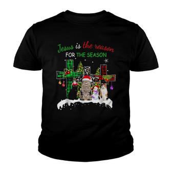 Jesus Is The Reason For Season Christmas Cat Jesus Christmas Youth T-shirt | Mazezy