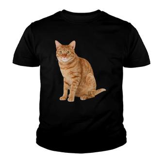 Orange Tabby Cat Lovers Gift Youth T-shirt | Mazezy