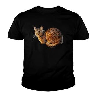 Orange Tabby Cat Tee Youth T-shirt | Mazezy