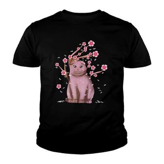 Scottish Fold Cat Japanese Sakura Cherry Blossom Flower Youth T-shirt | Mazezy
