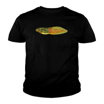 Tadpole Baby Frog Metamorphosis Science Teacher Tee Youth T-shirt | Mazezy
