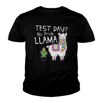 Test Day No Prob Teacher Llama Funny Testing Teacher Youth T-shirt | Mazezy