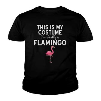 This Is My Costume I'm A Flamingo Halloween Costume Funny Youth T-shirt | Mazezy