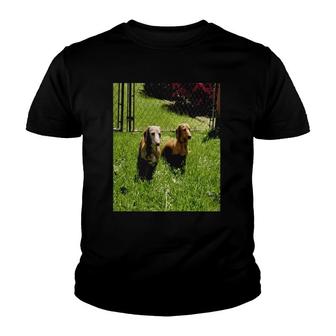 Womens Two Dachshund Pet Lover Youth T-shirt