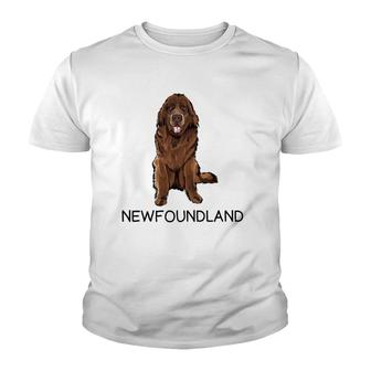 Newfoundland Crazy Dog Lover Gift Youth T-shirt | Mazezy