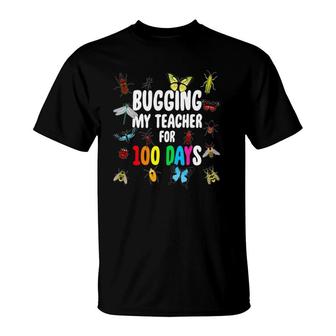 Bugging My Teacher For 100 Days Bugs 100Th Day Student T-Shirt | Mazezy