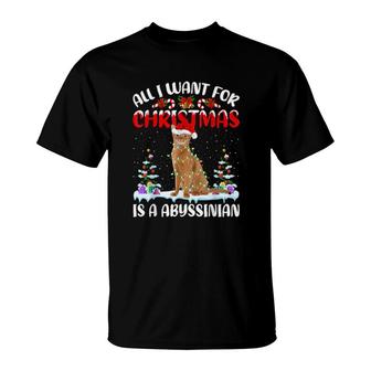 Funny Santa Hat All I Want For Christmas Is A Abyssinian Cat T-Shirt | Mazezy