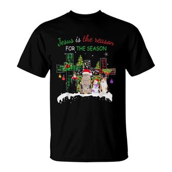Jesus Is The Reason For Season Christmas Cat Jesus Christmas Gift Sweat T-Shirt | Mazezy