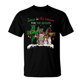 Jesus Is The Reason For Season Christmas Cat Jesus Christmas T-Shirt | Mazezy