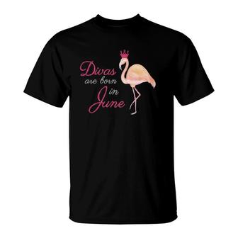 June Birthday Flamingo Lover T-Shirt | Mazezy