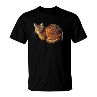 Orange Tabby Cat Tee T-Shirt | Mazezy UK