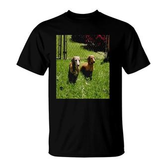 Womens Two Dachshund Pet Lover T-Shirt