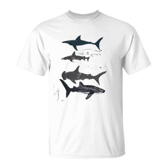 Sharks, Illustration, Art Print ,Ocean Life,Sea Life ,Animal ,Marine Biologist ,Kids ,Boys, Gender N T-Shirt | Mazezy