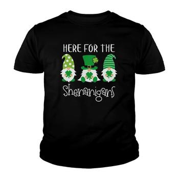 Here For The Shenanigans Leprechaun Raccoon St Patricks Day T-Shirt Here For The Shenanigans Leprechaun Raccoon St Patricks Day T-Shirt