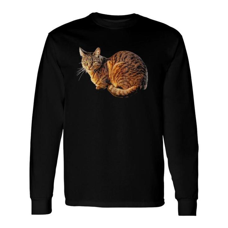 Orange Tabby Cat Tee Long Sleeve T-Shirt T-Shirt