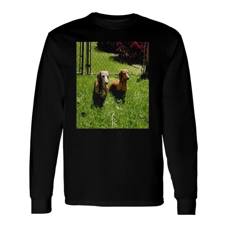 Two Dachshund Pet Lover Long Sleeve T-Shirt