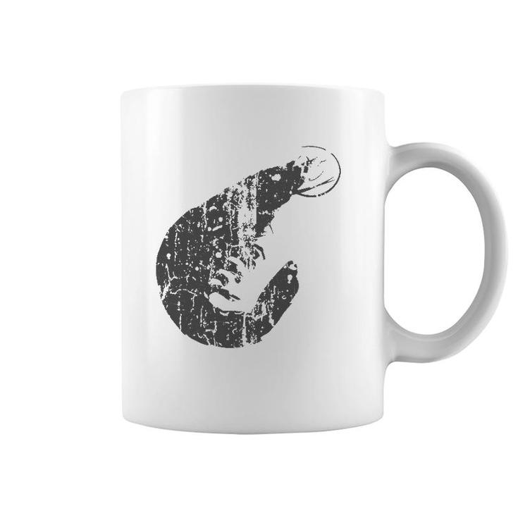Shrimp Vintage Design - Shrimp Print  Coffee Mug