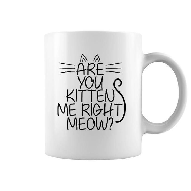 Sweet Cat Are You Kitten Me Right Meow Gift Coffee Mug