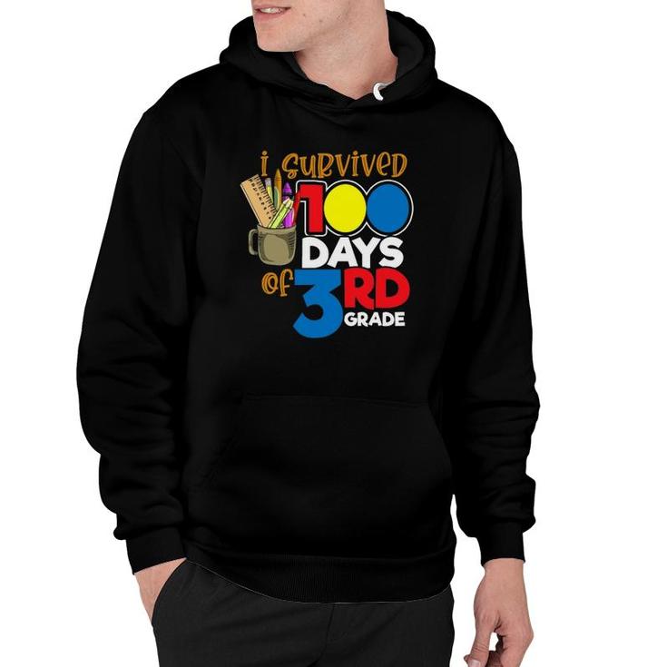 I Survived 100 Days Of 3Rd Grade Funny 100 Days Of School Hoodie