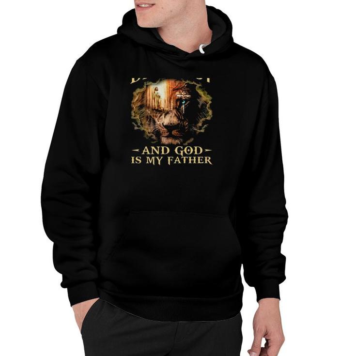 I Took A Dna Test And God Is My Father Jesus Cross Lion Christian Gift Hoodie