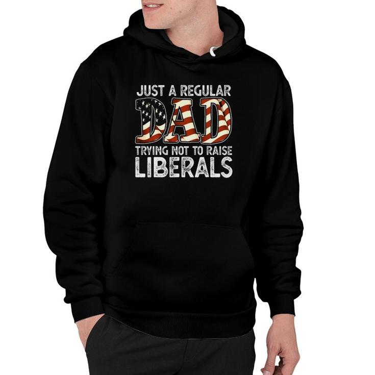Just A Regular Dad Trying Not To Raise Liberals 4Th July Son Hoodie