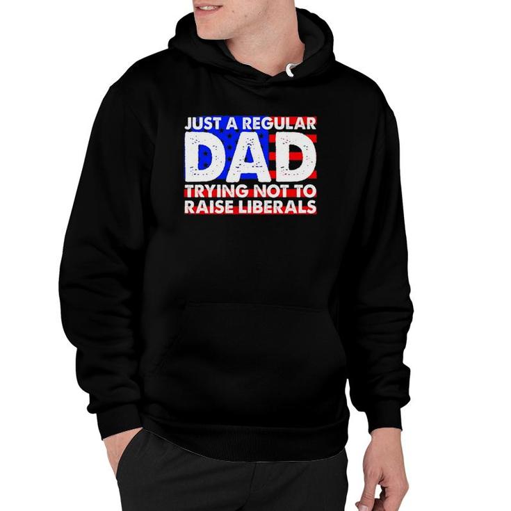 Just A Regular Dad Trying Not To Raise Liberals America Flag Hoodie