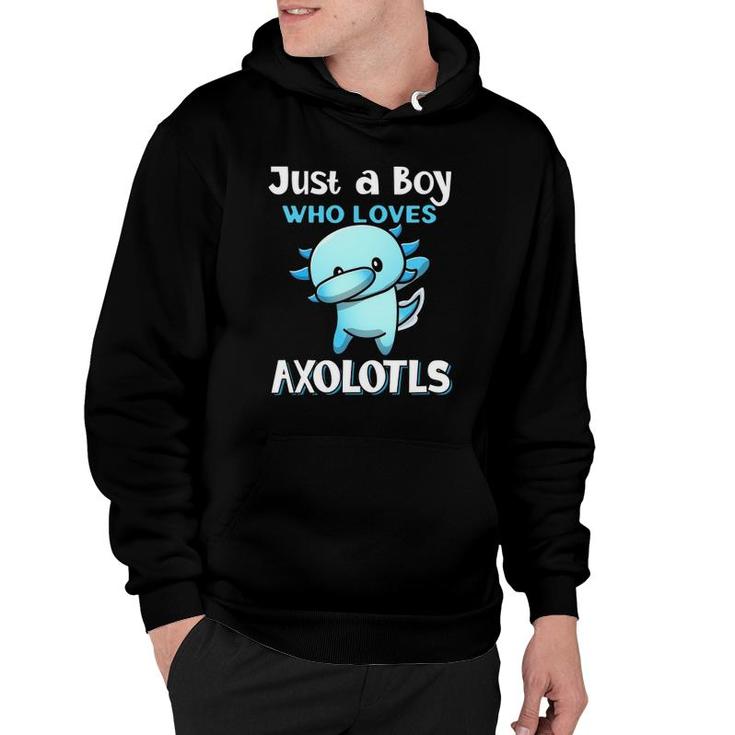 Kids Just A Boy Who Loves Axolotls Cute Funny Kawaii Awesome Hoodie