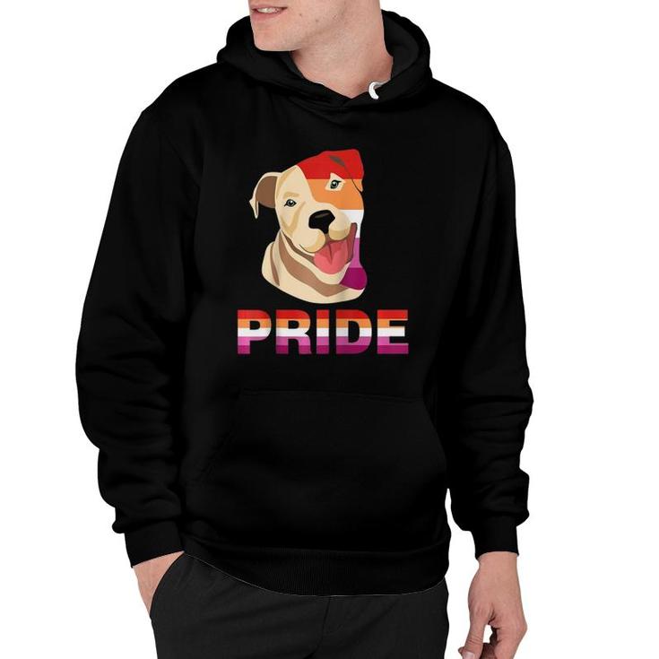 Lgbt Labrador Retriever Dog Lesbian Rainbow Pride Support Raglan Baseball Tee Hoodie